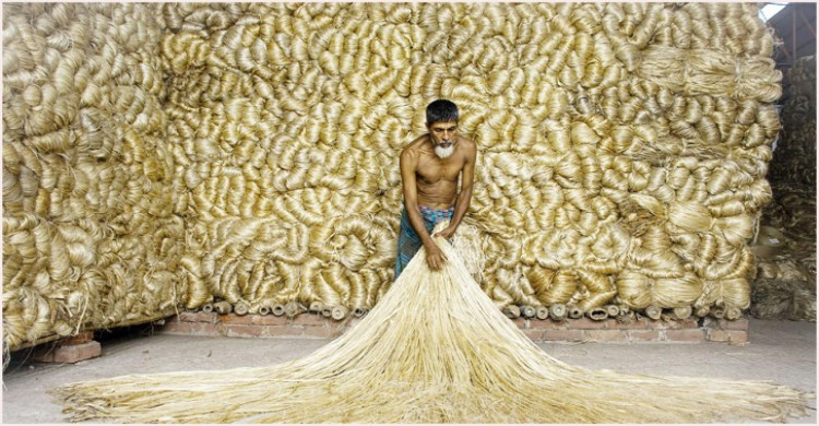 ভারতে বাংলাদেশি পাটপণ্য রপ্তানি কী বন্ধের পথে, প্রভাব কেমন হবে?