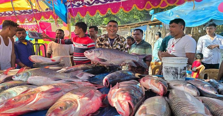 নবান্নকে ঘিরে বগুড়ায় মাছের মেলা, দাম বেশি