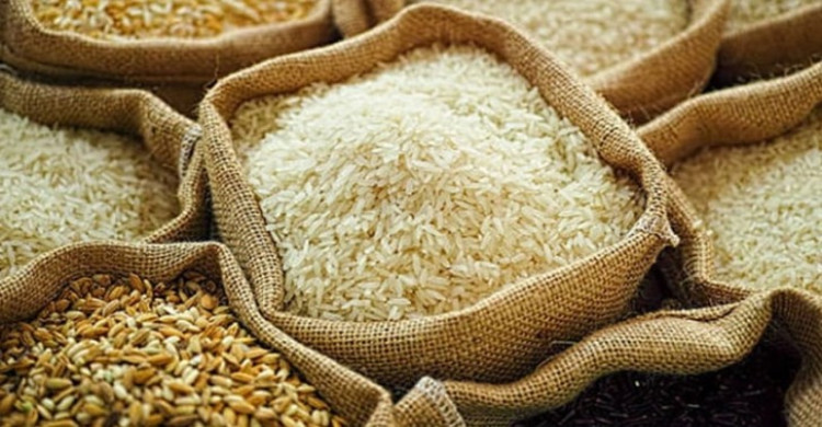 ৬ লাখ টন চাল ও গম আমদানি করছে সরকার